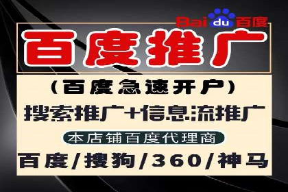 百度推广操作指南：案例解析